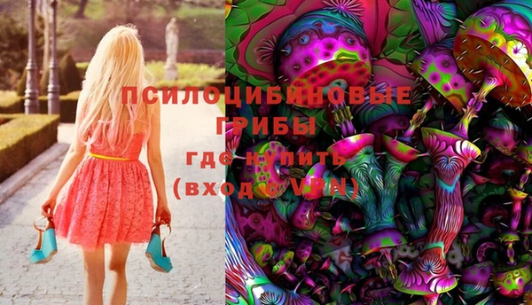 ECSTASY Баксан