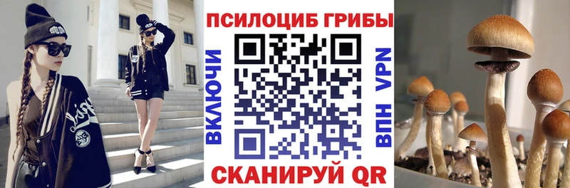 hydra ССЫЛКА  Новоаннинский  Псилоцибиновые грибы Cubensis 