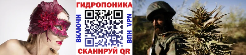 Шишки марихуана SATIVA & INDICA где найти Новоаннинский